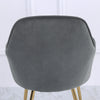 2pcs Dining Chairs Matte Velvet Seat Metal Gold Legs Kitchen Chair Home Office
