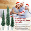 Set of 3 Potted Artificial Christmas Tree Slim Faux Pencil Xmas Tree w/3/4/5 FT