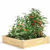 UK City Garden Raised Bed Elevated Flower Vegetable Grow Planter Box Seed Soil