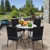 2-Piece Outdoor Dining Chair Set Garden Patio Wicker Chairs with Soft Cushions
