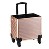 Large Vanity Makeup Beauty Cosmetic Case Trolley Hairdressing Nail Storage Box