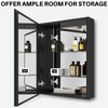 Bathroom Mirror Cabinet Cupboard Storage With Adjustable Shelf 500 x 650 mm