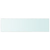 Shelf Panel Tempered Glass Clear Sheet Storage Shelving Display Shelves Rack