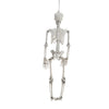 Full Life Size Human Hanging/Sitting Skeleton Prop Halloween Party Decoration