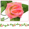 2 x8Ft Artificial Fake Silk Rose Flower Ivy Vine Garland Wedding Party 9 Colours