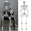Skull Human Skeleton Prop Horror Full Size Body Anatomy Model Party Scary Decor