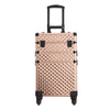 Artist Cosmetic Vanity Case Makeup Trolley Mobile Beauty Hairdressing StorageBox