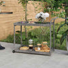Bar Cart Poly Rattan Versatile and spacious Stable and robust with handle