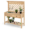 Wood Raised Garden Bed with Trellis Freestanding Garden Elevated Planter Stand