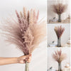 10/30PCS Natural Dried Pampas Grass Reed Flower Bunch Bouquet Wedding Home Decor