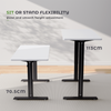 Electric Standing Desk Height Adjustable Desk Ergonomic Sit Stand Office Desk