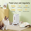 Automatic Pet Feeder Large Cat Dog Food Dispenser w/ 2 Bowls Dish Water Fountain