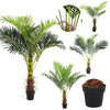 Large Artificial Palm Tree Topiary Potted Plant Green Outdoor Home Office Decor