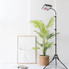 LED Grow Light Tripod Stand Full Spectrum for Hydroponic Indoor Plant Veg Flower