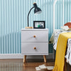 White Nightstand 2 Drawers Storage Wood Bedside Cabinet Small Side Table Bedroom