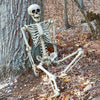 160cm Posable Skeletons Realistic Spooky Full Body Hanging Halloween Prop Decor