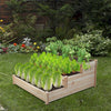 Raised Garden Bed Set Flower Vegetables Seeds Planter Kit Elevated Rectangle Box