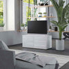 Modern TV Cabinet Stand Storage Cabinet With 2 drawers Living Room Furniture