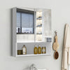 Mirrored Bathroom Cabinet LED White 1/2/3 Doors Mounted Cupboard Wall Mounted