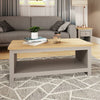 Modern Coffee Tea Side End Low Table Shelf Storage Grey Oak Living Room