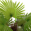 90cm Artificial Palm Tree in Pot Fake Tropical Green Plant Indoor Outdoor Decor