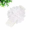 10 PCS Newborn Baby Girls Elastic Flower Headband Wedding Party Soft Lace Decr