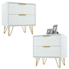 2Pcs Bedside Table w/ 2 Drawers Bedside Cabinet Metal Frame for Living Room NS