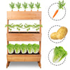 3 Tier Raised Garden Bed Wood Elevated Plant Growing Flower Ladder Storage Box