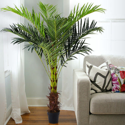 180cm Realistic Palm Tree Indoor Outdoor Artificial Potted Exotic Tropical Plant