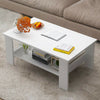 2 Tier Coffee End/Side Table Modern White Design with Storage Shelf Living Room