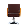 Barber Chair Swivel Hairdressing Chair Hair Chair with Solid Wood Handrails NEW