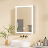 LED Illuminated Bathroom Mirror Cabinet with Shelf Storage 500x700 Wall Mounted