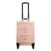 Nail Artist Travel Trolley Vanity Beauty Case Trolley Hairdressing Cosmetics Box