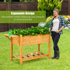 8 Grids Wooden Raised Garden Bed Elevated Planter Kit W/ Folding Lateral Shelf