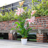 3FT Artificial Pink Lily Decorative Plant with Pot Large Flowers Indoor Outdoor