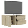 Modern TV Cabinet Stand Storage Cabinet With 2 drawers Living Room Furniture