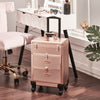 Large Vanity Makeup Beauty Trolley Moblie Hairdressing Nail Storage Case Drawers