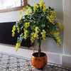 Large Blossom Tree Artificial Wisteria 4ft 120cm Yellow