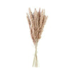 10/30PCS Natural Dried Pampas Grass Reed Flower Bunch Bouquet Wedding Home Decor