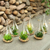 6-36PC Glass Teardrop Shaped Tea light Candle Holders Bauble Wedding Centerpiece