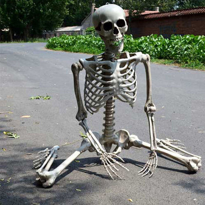 Full Life Size Human Hanging/Sitting Skeleton Prop Halloween Party Decoration