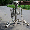 Full Life Size Human Hanging/Sitting Skeleton Prop Halloween Party Decoration
