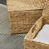 Set of 2 Water Hyacinth Under Bed Storage Box Trunk Chest Basket, Large