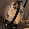 Rolling Cat Carrier Trolley Case Portable Pet Puppy Dog Travel Transparent Cage