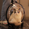 Rolling Cat Carrier Trolley Case Portable Pet Puppy Dog Travel Transparent Cage