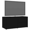Modern TV Cabinet Stand Storage Cabinet With 2 drawers Living Room Furniture