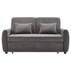 2 Seater Small Sofa Bed Fast Pull out Sleeper Sofabed Loveseat Settee Guest Beds