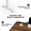 Flamaker 140x70 cm Electric Standing Desk Height Adjustable Computer Desk