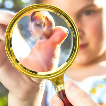 Clear 60mm Handheld 15X Magnifier Magnifying Glass Loupe Reading Jewelry Aid