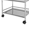3 Shelves Kitchen Trolley Stainless Steel with Wheel Beauty Salon Cart Trolley